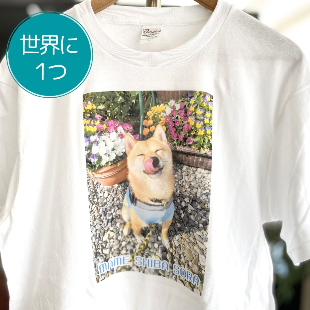 注文商品のご紹介 – 世界に一つ オリジナルTシャツ