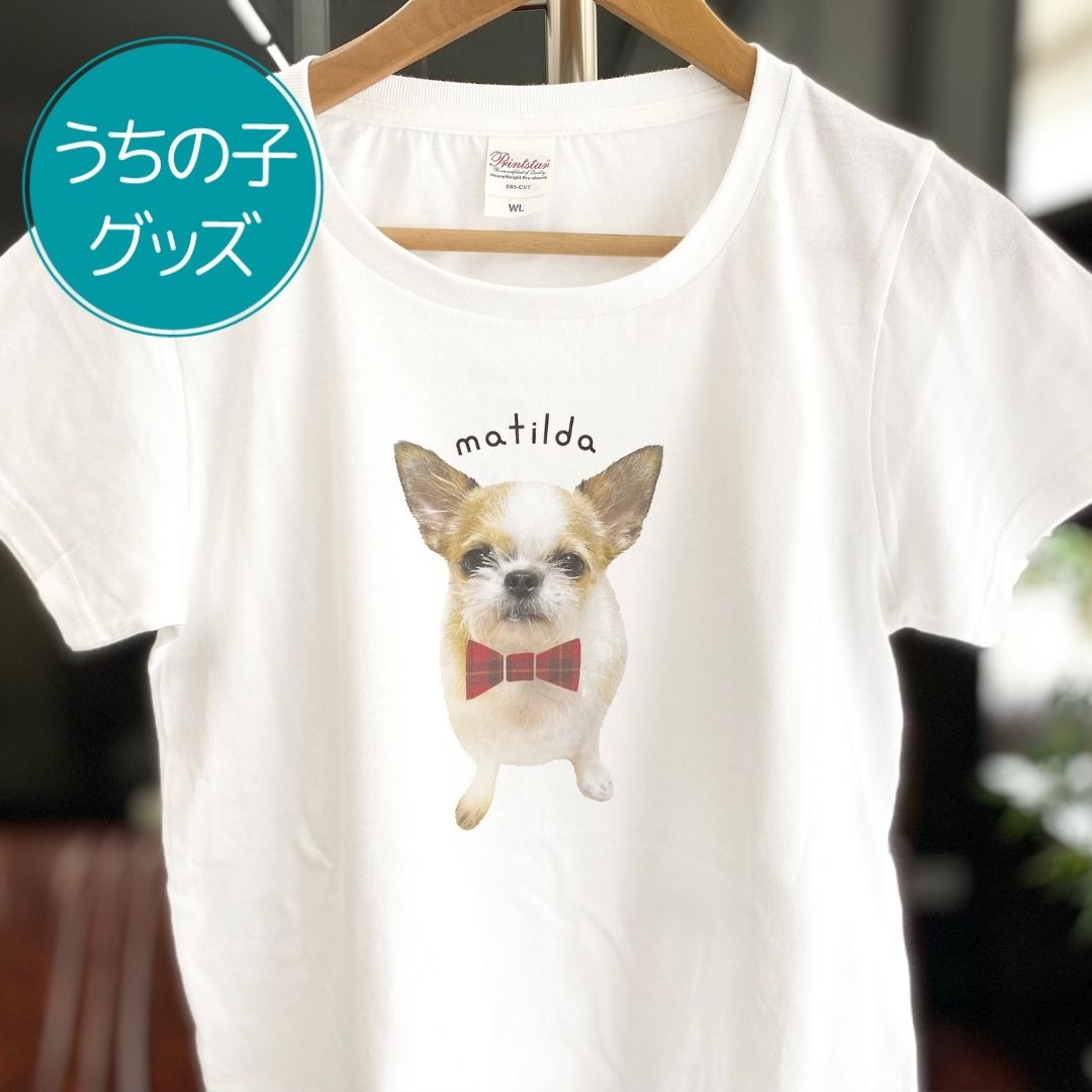 注文商品のご紹介 – おめかしペットフェイス白Tシャツ