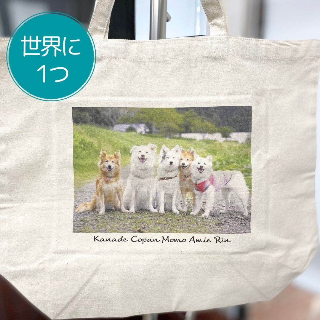 注文商品のご紹介 – 世界にひとつオリジナルバッグ